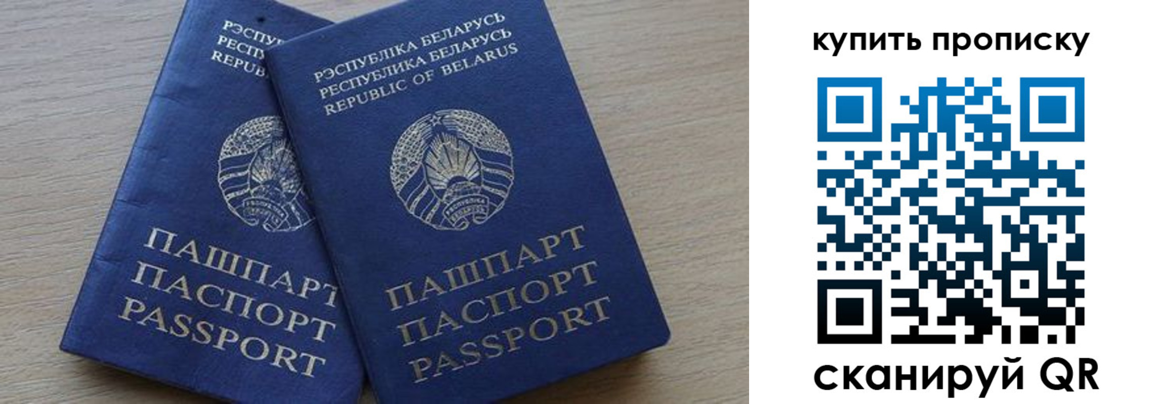 прописка поиск в Александрове